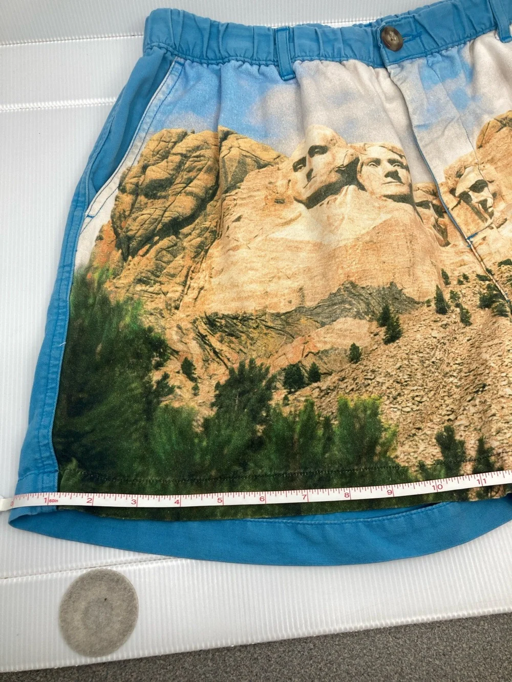 Chubbies Retired HTF Mount Rushmore Graphic Shorts Blue Casual Lounge Swim S597